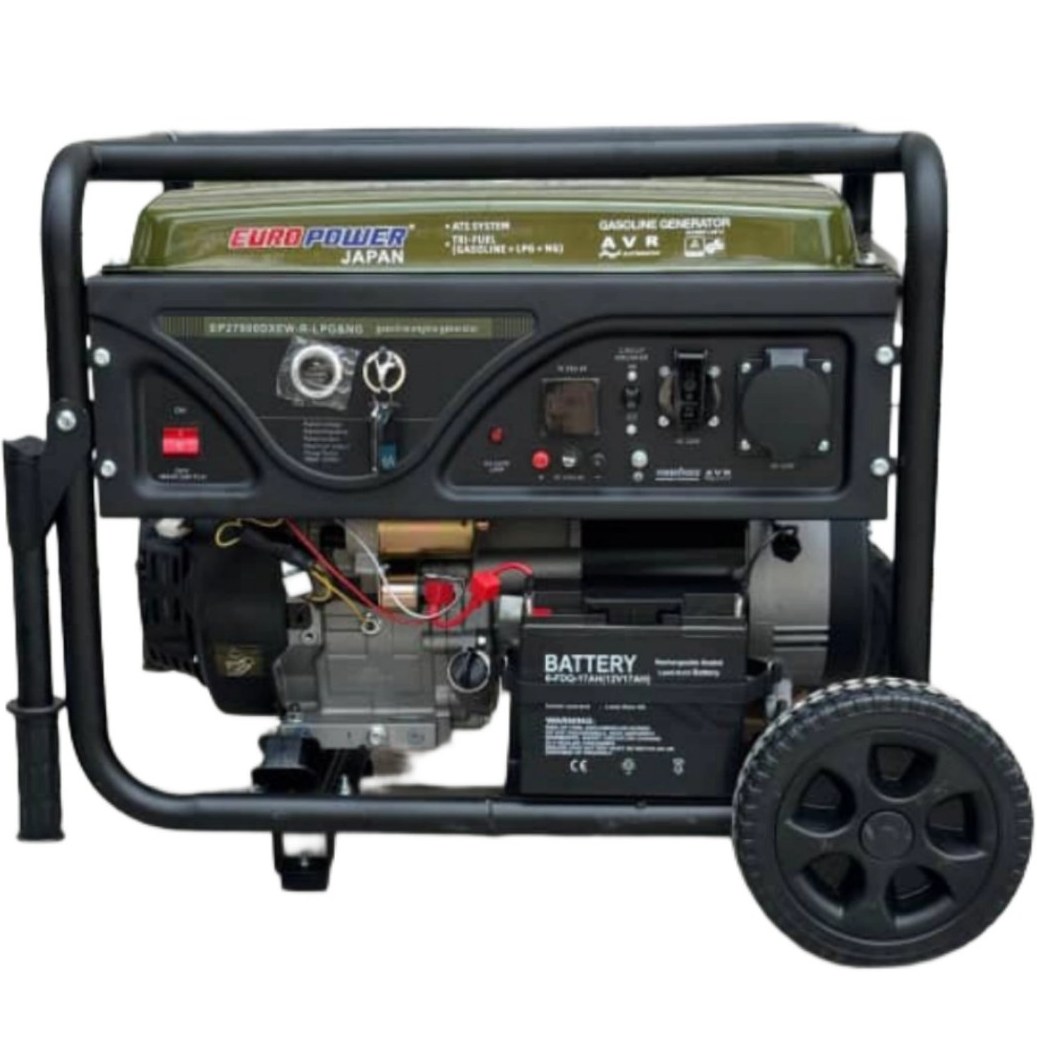 موتور برق 12 کیلووات سه گانه تک فاز یورو پاور مدل EP29900DXEW-R-NG-LPG
