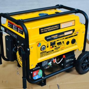 موتور برق 11 کیلووات سه فاز تک فاز سه گانه راکسون مدل RX-13700EW-LPG-CNG-3 | فروشگاه موتور برق رومکس دیزل